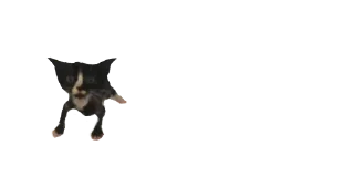 😦 emoji 🐈 ʙᴀʙʏ ᴋɪᴛᴛʏ @punithgowdastickersin Telegram sticker 14 of 120