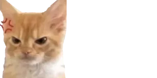 😠 emoji 🐈 ʙᴀʙʏ ᴋɪᴛᴛʏ @punithgowdastickersin Telegram sticker 22 of 120