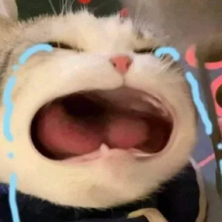 😭 emoji meng Telegram sticker 12 of 67