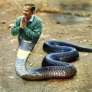🐍 emoji @bhandarokijankari 01 Telegram sticker 10 of 55