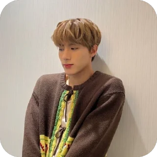 🫥 emoji Gua ganteng Telegram sticker 21 of 47