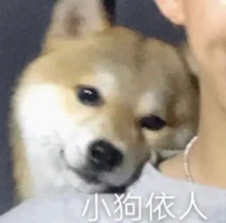 🐶 emoji 我也不知道😔 Telegram sticker 24 of 27
