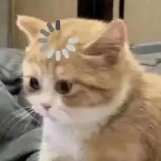 🐱 emoji sin Telegram sticker 21 of 58