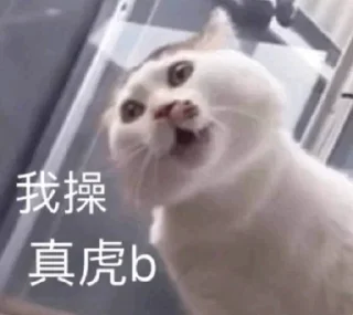 😹 emoji 江小壶的大想法 Telegram sticker 20 of 80