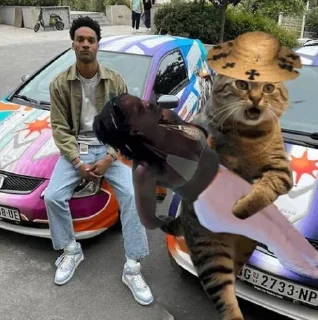 🤣 emoji @Thief_Cattt $NAMI_KOL Telegram sticker 10 of 102