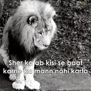 Sticker from Sher