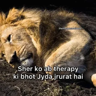 Sticker from Sher