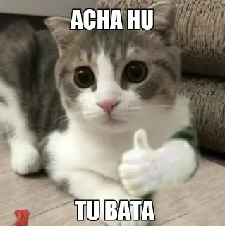 👍 emoji Yash ( text ) Telegram sticker 23 of 67
