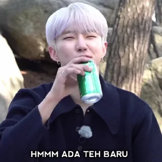 🤣 emoji meme svt gose - @HolOgraphc Telegram sticker 7 of 56