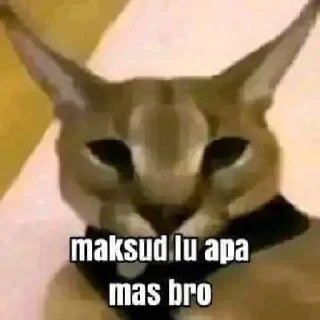 😁 emoji ola giep jaemin💋 Telegram sticker 17 of 103