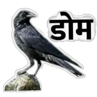 🪶 emoji मराठी टोमणे Telegram sticker 19 of 30