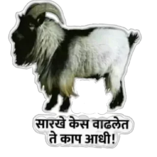 🐏 emoji मराठी टोमणे Telegram sticker 12 of 30