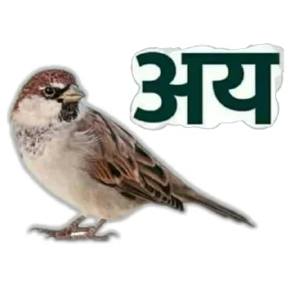 🦜 emoji मराठी टोमणे Telegram sticker 22 of 30