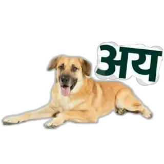 🐕 emoji मराठी टोमणे Telegram sticker 21 of 30