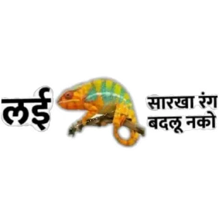 🦎 emoji मराठी टोमणे Telegram sticker 10 of 30