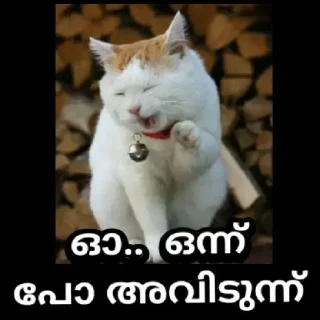 😆 emoji Poocha sir Telegram sticker 20 of 26