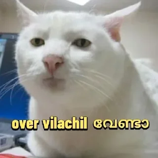 Sticker from Poocha ser