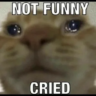 😕 emoji Poocha sir Telegram sticker 10 of 26