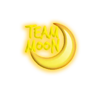 Sticker from SAILOR MOON🌙
