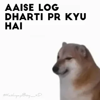 🤨 emoji Kashyap ke Sticker #01 ~ @KashyapBoy_xD Telegram sticker 17 of 31