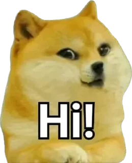 Sticker from Cheems Doge @ddk_sempai40