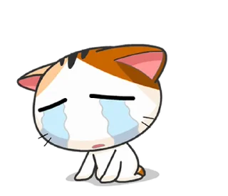 ⭐️ emoji Gojill The Meow Animated V.1 @moe_sticker_bot Telegram sticker 15 of 24