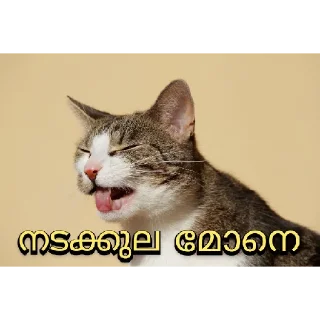😂 emoji @PSYBEASTKGF Vol.7 Telegram sticker 14 of 120