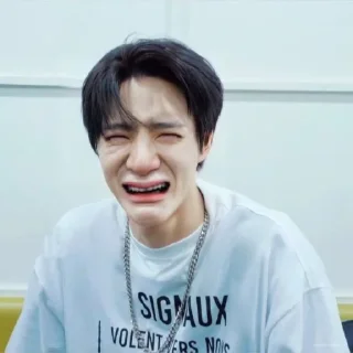 😭 emoji NCT NANGIS😭 @LOVIN6S Telegram sticker 24 of 31