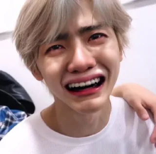 😭 emoji NCT NANGIS😭 @LOVIN6S Telegram sticker 7 of 31