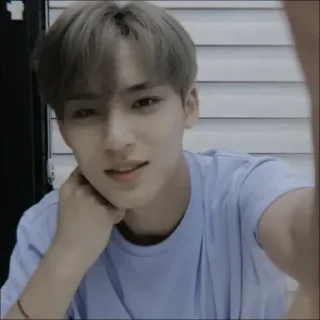 Sticker from mingyu @bigelpunya