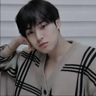 Sticker from mingyu @bigelpunya