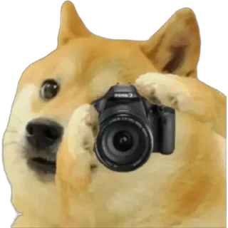 📷 emoji Chla ja bsdk Telegram sticker 11 of 57