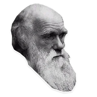😟 emoji NatSoc FunPack Telegram sticker 8 of 88