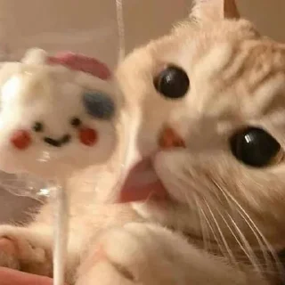 😄 emoji Better Cats @AnimeOcean_Gifs Telegram sticker 12 of 52
