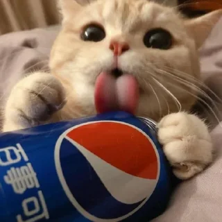 😄 emoji Better Cats @AnimeOcean_Gifs Telegram sticker 9 of 52