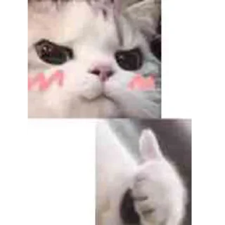 👍 emoji @Lfhsheng 御用表情包 Telegram sticker 19 of 21