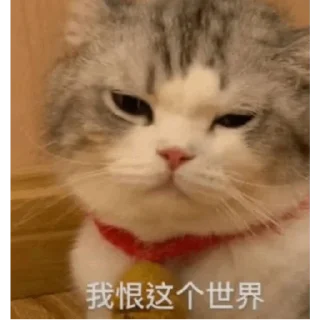🐱 emoji 欧洲杯官方 九游总监 @Zongjian Telegram sticker 21 of 120