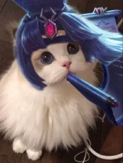 Sticker from Kucing AOV