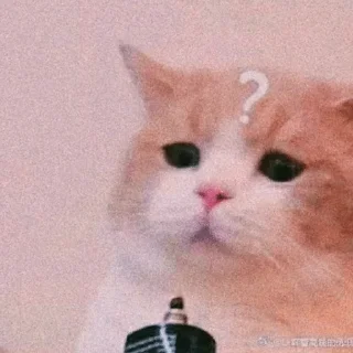 🐣 emoji 🐈✨  | @Teton_XD ㅤ ⁪⁬⁮⁮⁮⁮ ‌ㅤ ⁪⁬⁮⁮⁮⁮ ‌ ㅤ ⁪⁬⁮⁮⁮⁮ ‌ㅤ ⁪⁬⁮⁮⁮⁮ ‌ㅤ ⁪⁬⁮⁮⁮ Telegram sticker 15 of 30