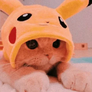 🐣 emoji 🐈✨  | @Teton_XD ㅤ ⁪⁬⁮⁮⁮⁮ ‌ㅤ ⁪⁬⁮⁮⁮⁮ ‌ ㅤ ⁪⁬⁮⁮⁮⁮ ‌ㅤ ⁪⁬⁮⁮⁮⁮ ‌ㅤ ⁪⁬⁮⁮⁮ Telegram sticker 10 of 30