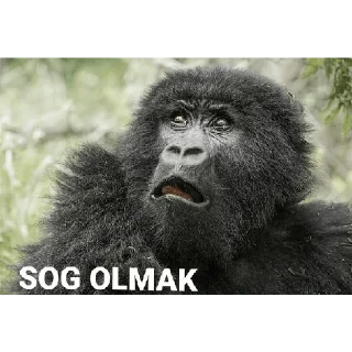 😀 emoji goril Telegram sticker 14 of 30