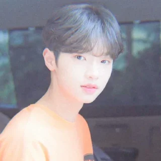 🐣 emoji dongpyo Telegram sticker 9 of 54