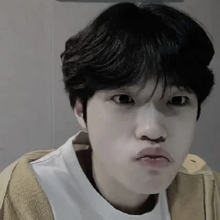 ⚠️ emoji ✶ dongpyo ; @lilbebekuromi !¡ Telegram sticker 19 of 35