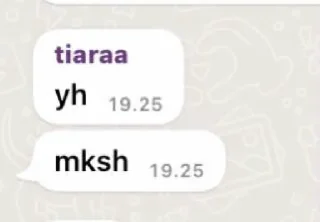 😅 emoji sarang boti muach muach Telegram sticker 8 of 76