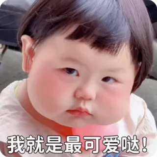 Sticker from 小孩表情包点击 @shayudidibiaoqing