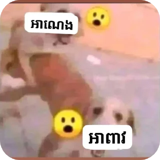 Sticker from Nigga