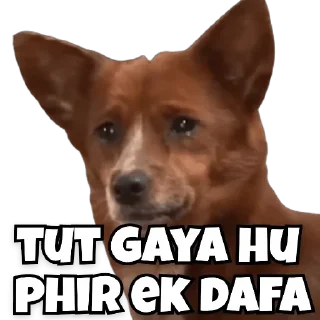 😢 emoji @KingManishGamerYT_Owner 6 talk l
Word Telegram sticker 16 of 120
