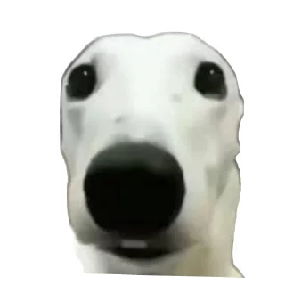🐶 emoji Tan Telegram sticker 9 of 18