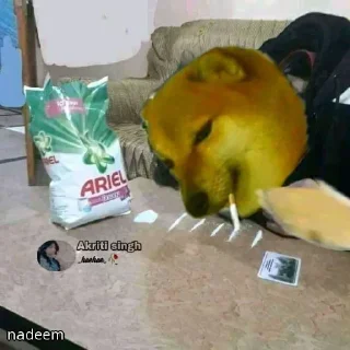 🚬 emoji Bsdk lele pack @Ur_Dads_Here_umf Telegram sticker 1 of 63