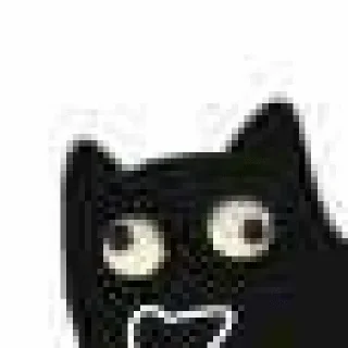 🤪 emoji 黑猫 Telegram sticker 9 of 17